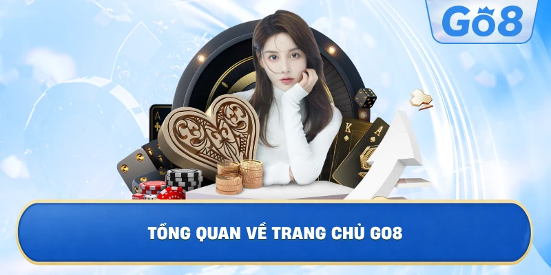 Tổng Quan Về Thương Hiệu GO8